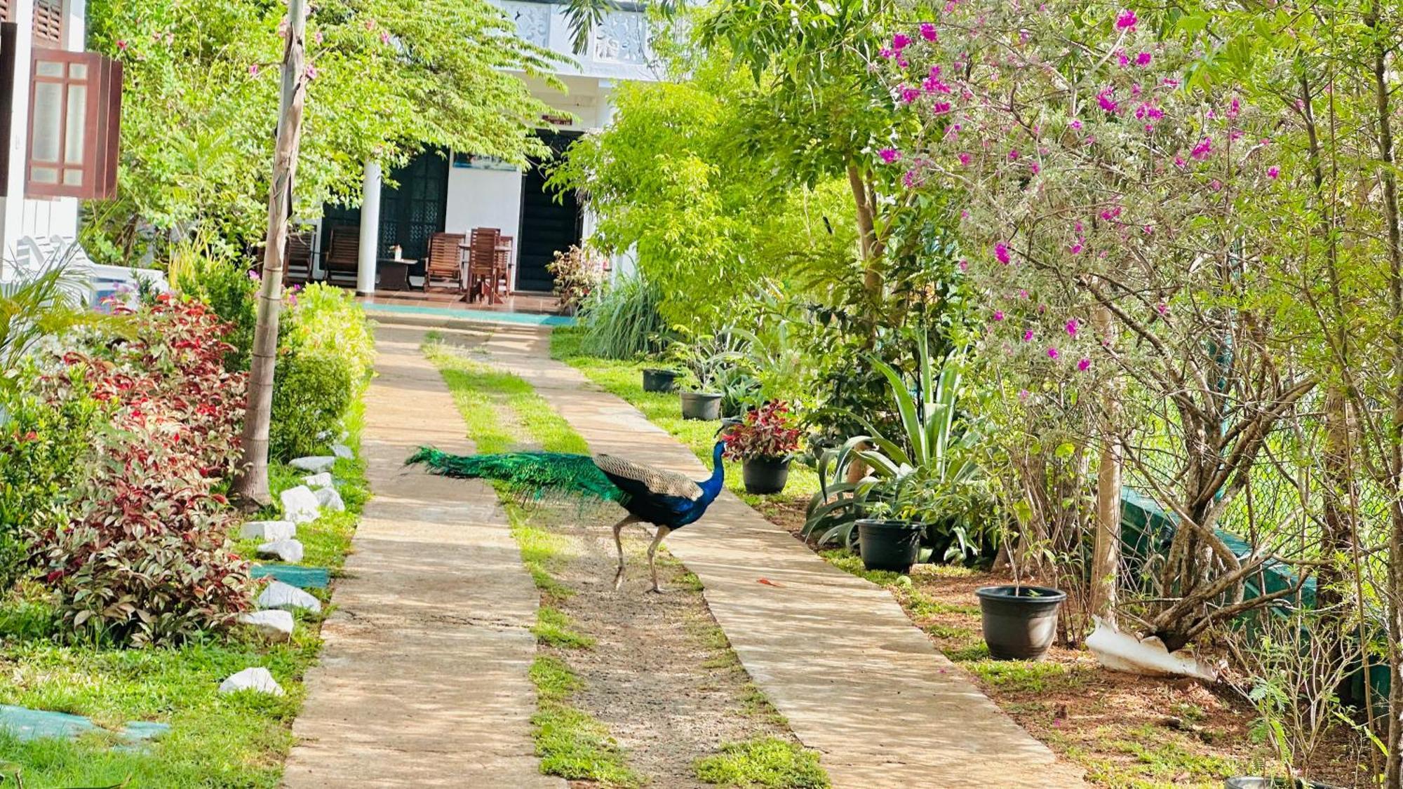 דמבולה New Peacock Resort מראה חיצוני תמונה