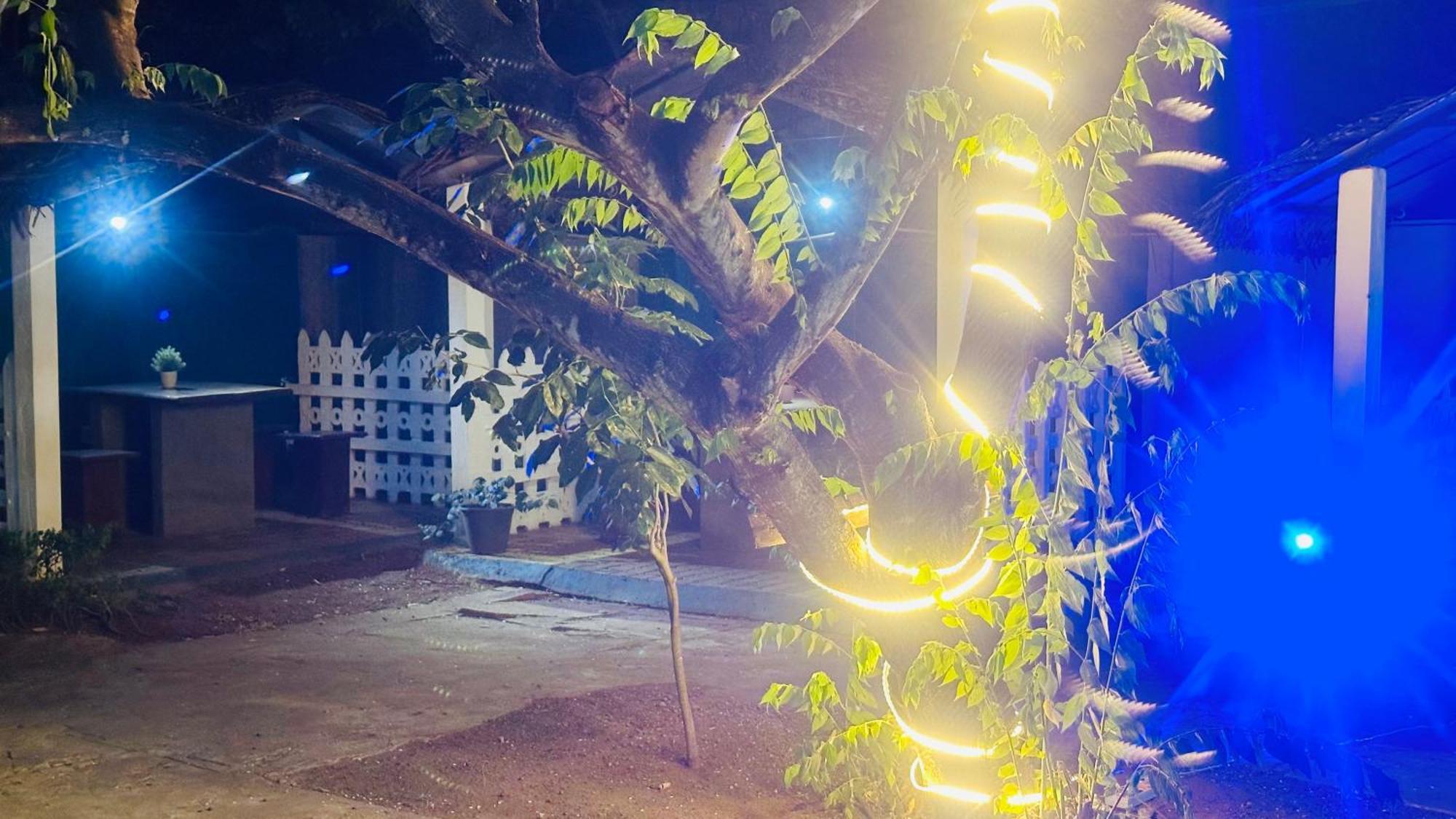דמבולה New Peacock Resort מראה חיצוני תמונה